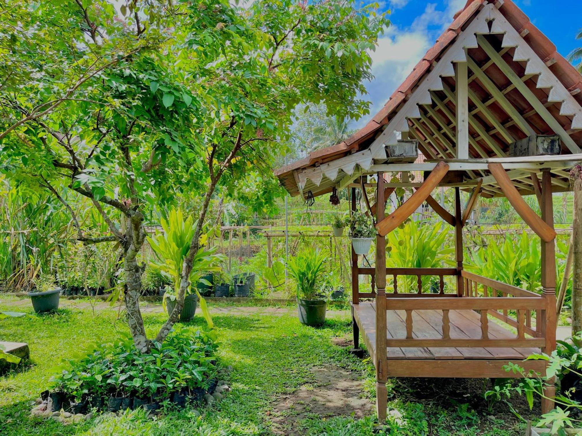 Pondok Isoke Bunggalow Banyuwangi  Buitenkant foto